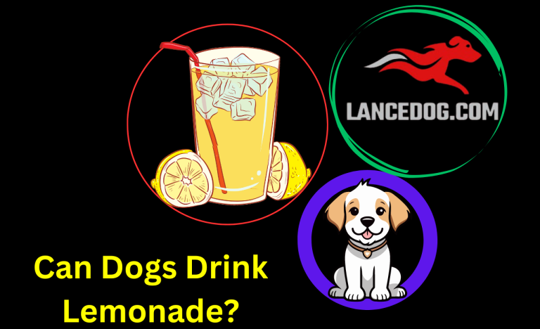 Can Dogs Drink Lemonade?