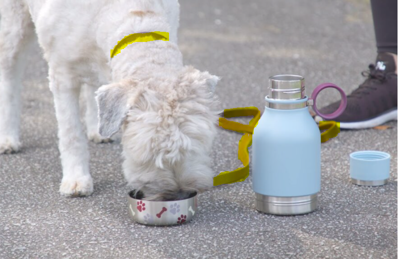 Gift For Dog Lovers Asobubottle