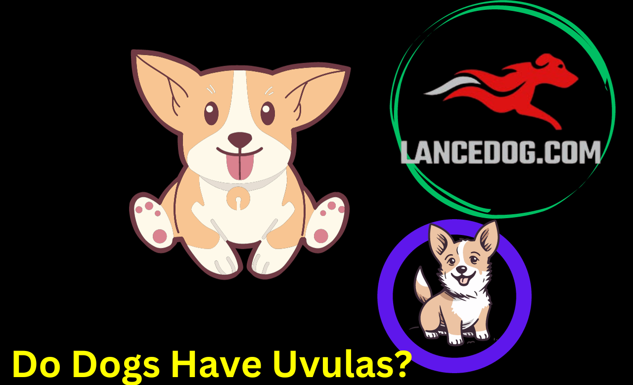 Do Dogs Have Uvulas