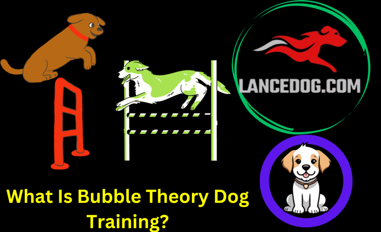 What Is Bubble Theory Dog Training