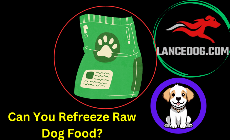 Can You Refreeze Raw Dog Food