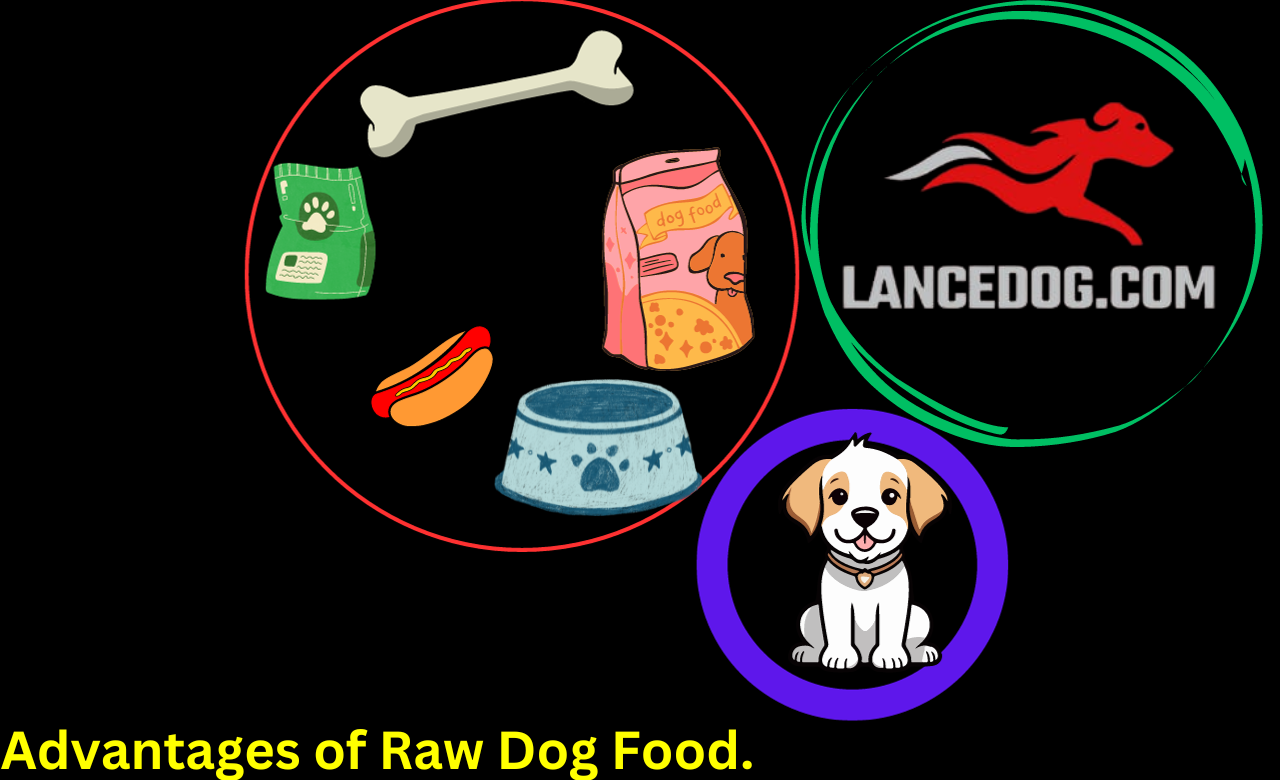 Advantages of Raw Dog Food.