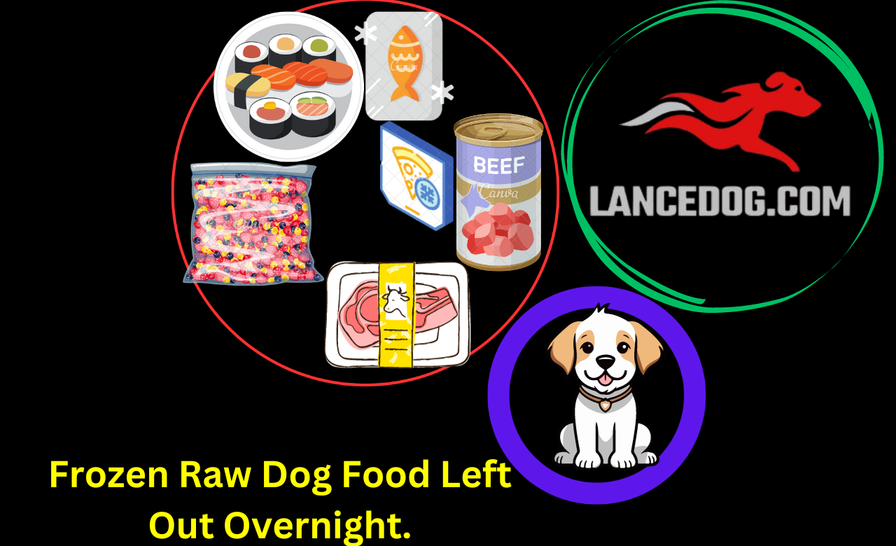 Frozen Raw Dog Food Left Out Overnight.