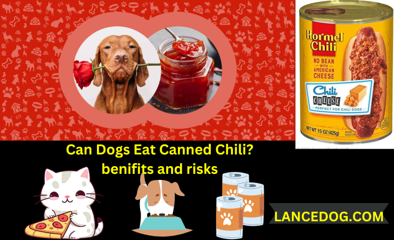 Can Dogs Eat Canned Chili?