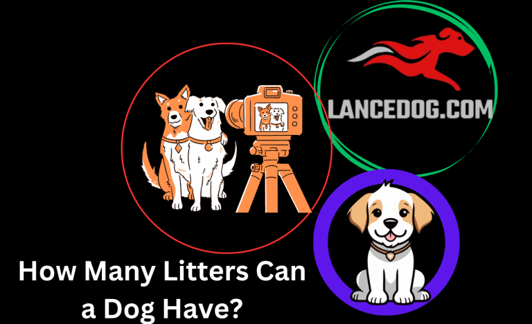 How Many Litters Can a Dog Have?