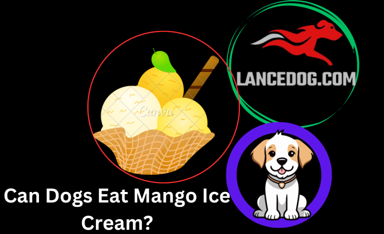 Can Dogs Eat Mango Ice Cream?