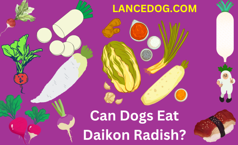 Can Dogs Eat Daikon Radish?