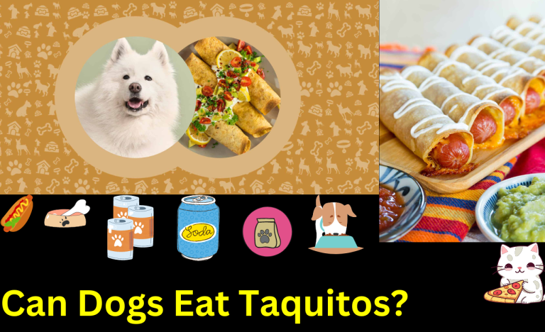 Can Dogs Eat Taquitos?       