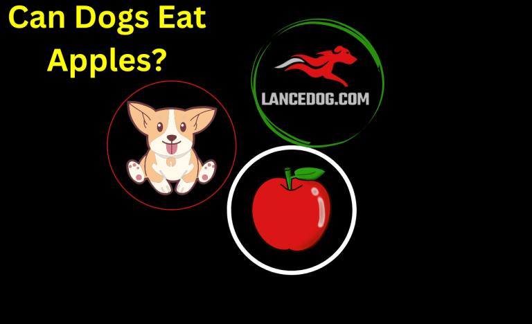 Can Dogs Eat Apples?