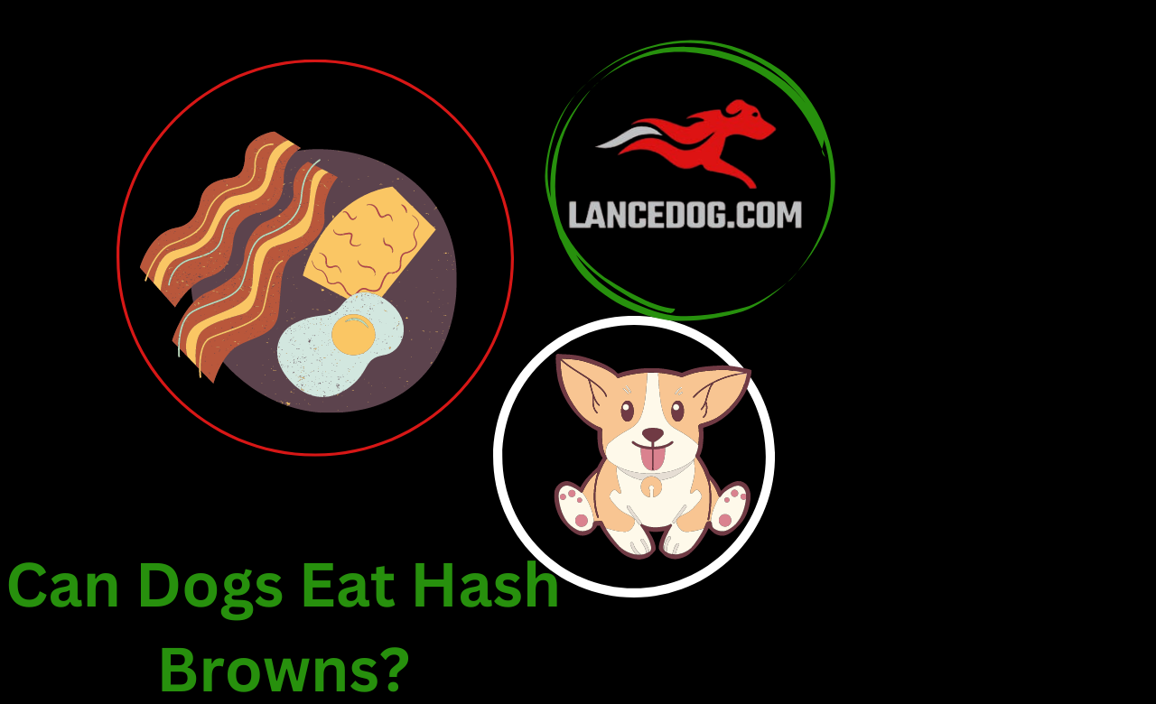 Can Dogs Eat Hash Browns?