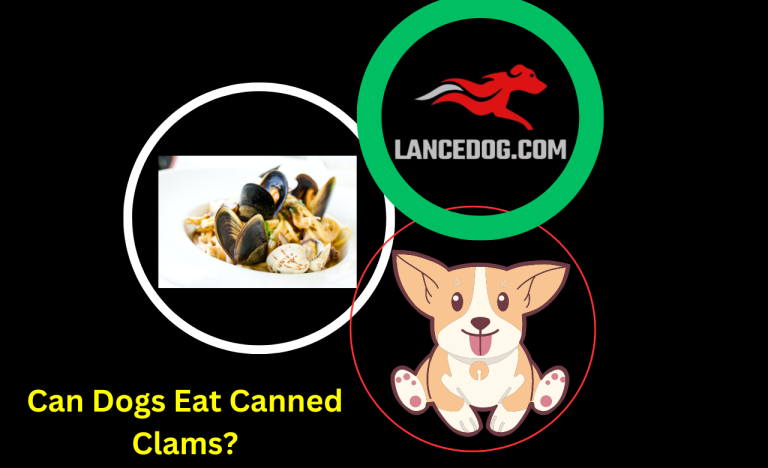 Can Dogs Eat Canned Clams?