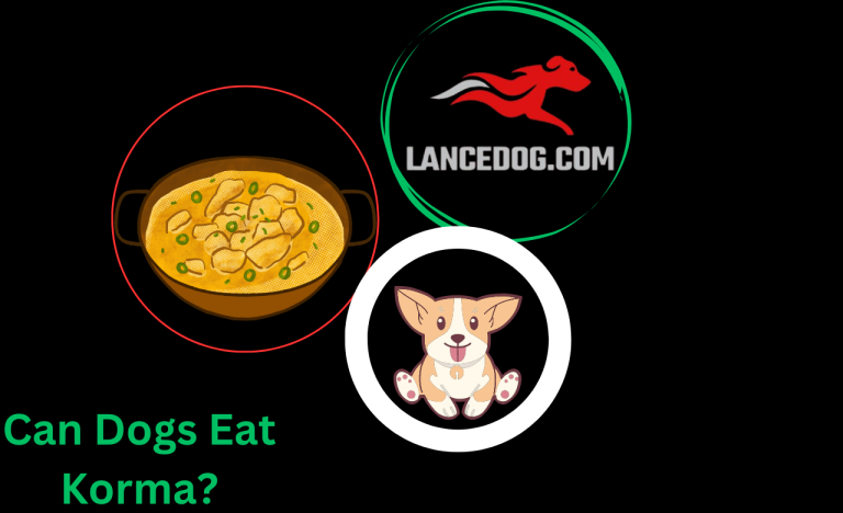 Can Dogs Eat Korma?