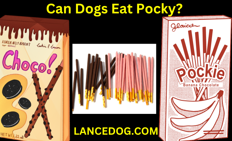 Can Dogs Eat Pocky? Unveiling the Truth Behind This Popular Snack