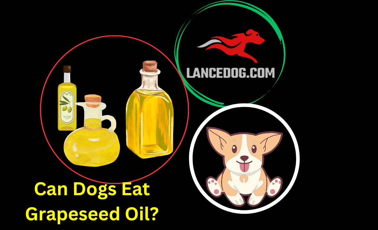 Can Dogs Eat Grapeseed Oil?