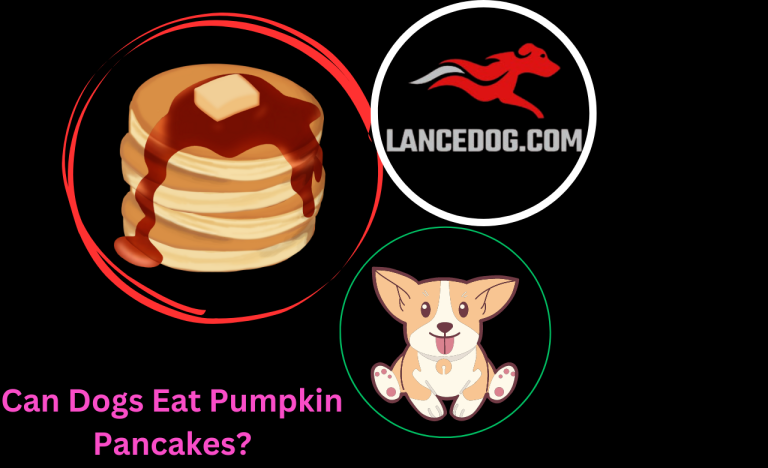 Can Dogs Eat Pumpkin Pancakes?