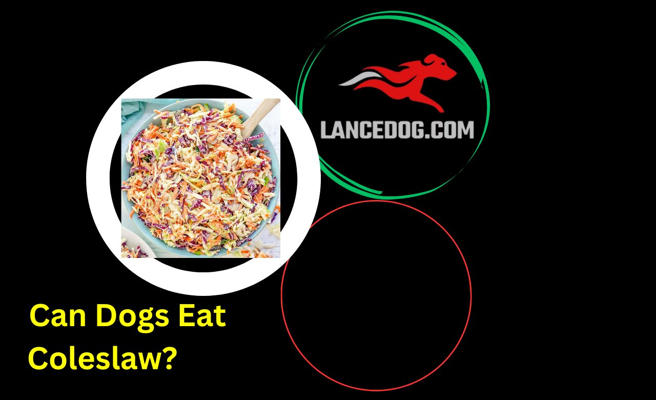 Can Dogs Eat Coleslaw?         