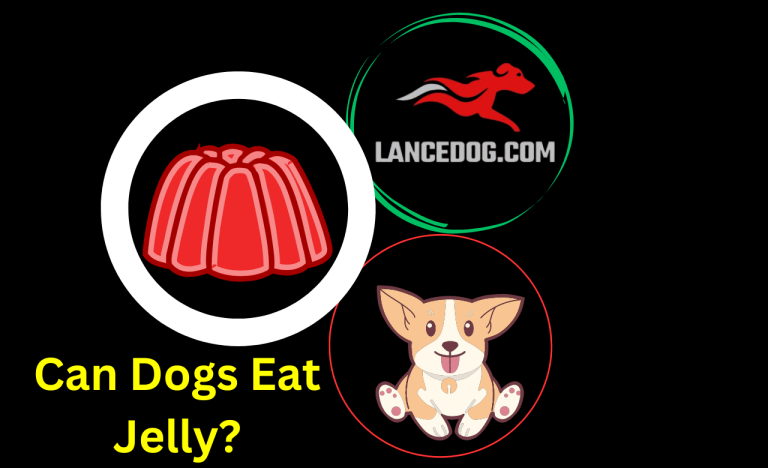 Can Dogs Eat Jelly?