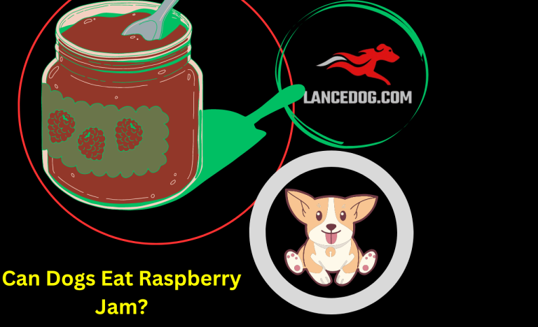 Can Dogs Eat Raspberry Jam?