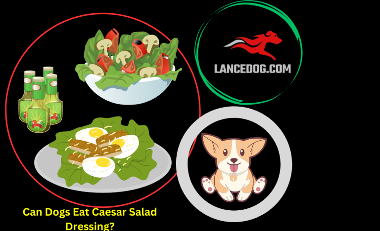 Can Dogs Eat Caesar Salad Dressing?