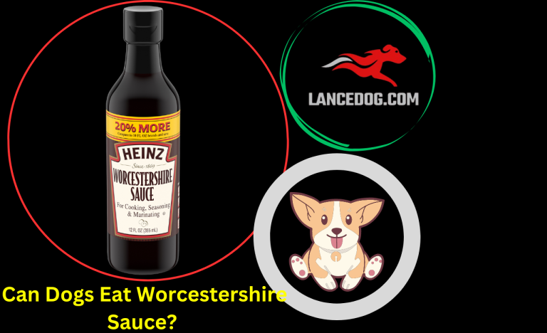 Can Dogs Eat Worcestershire Sauce?