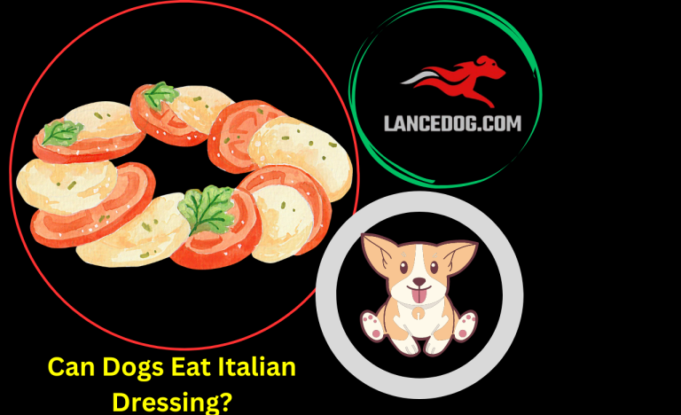 Can Dogs Eat Italian Dressing?