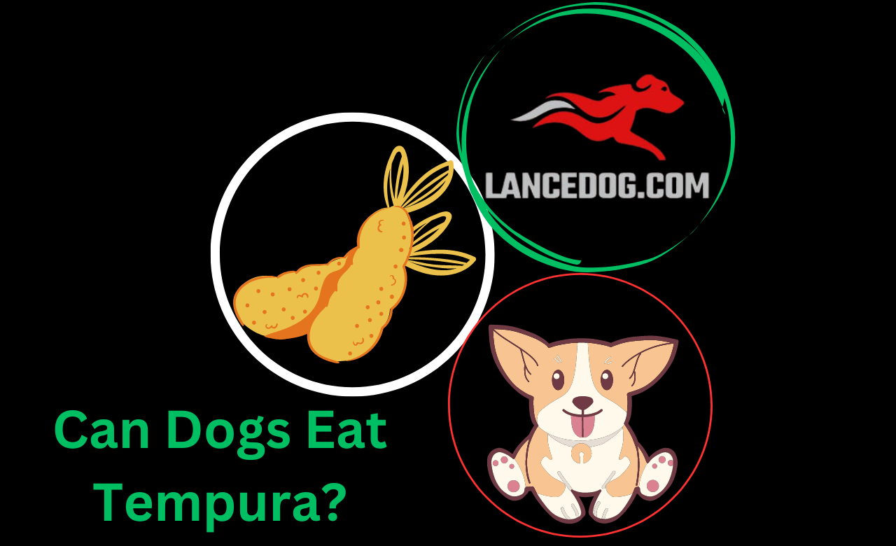 Can Dogs Eat Tempura?