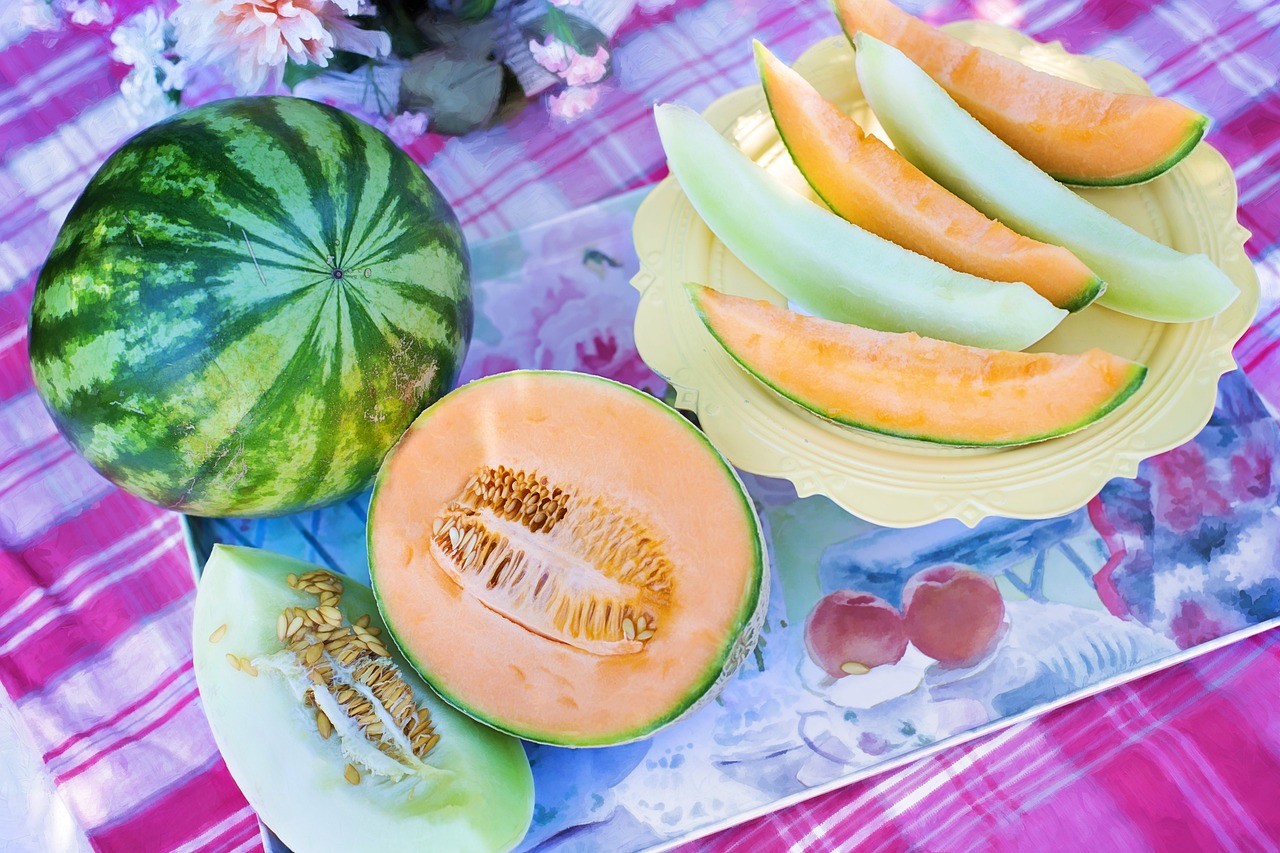 Can Dogs Enjoy Cantaloupe?