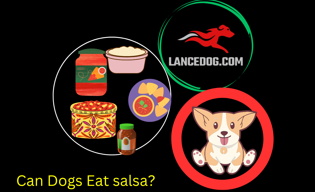 Can Dogs Eat salsa?