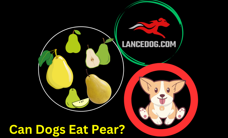 Can Dogs Eat Pear?