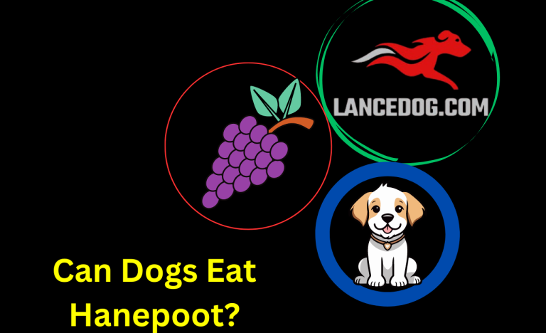 Can Dogs Eat Hanepoot?