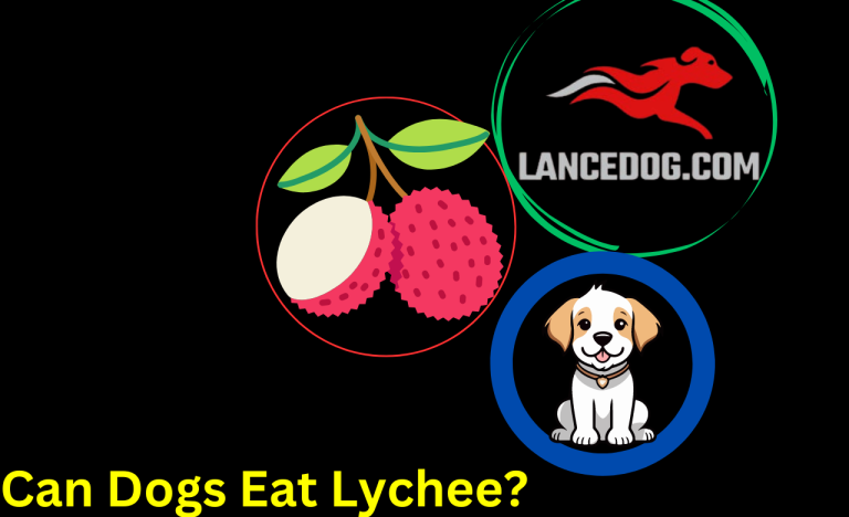 Can Dogs Eat Lychee?