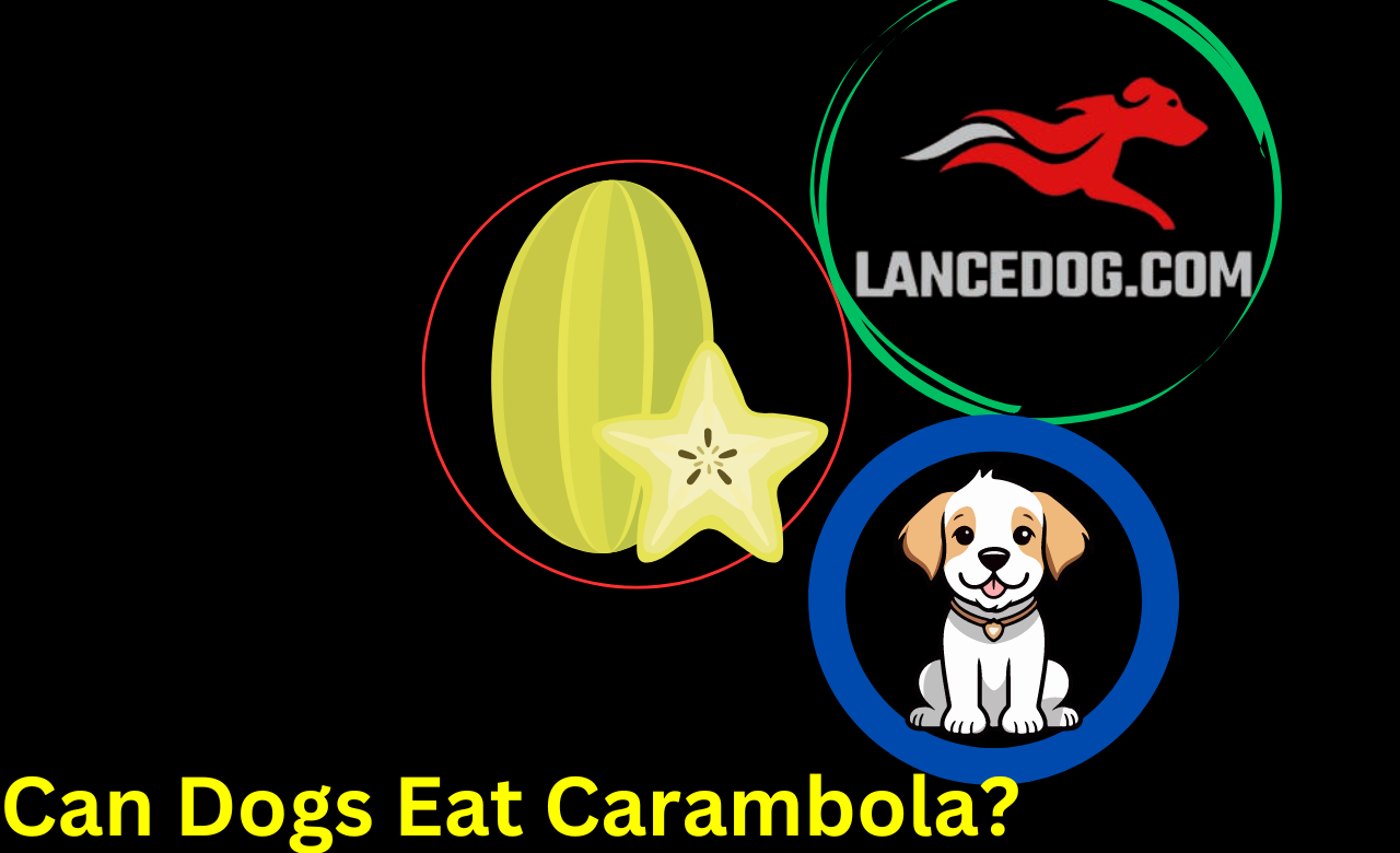 Can Dogs Eat Carambola?