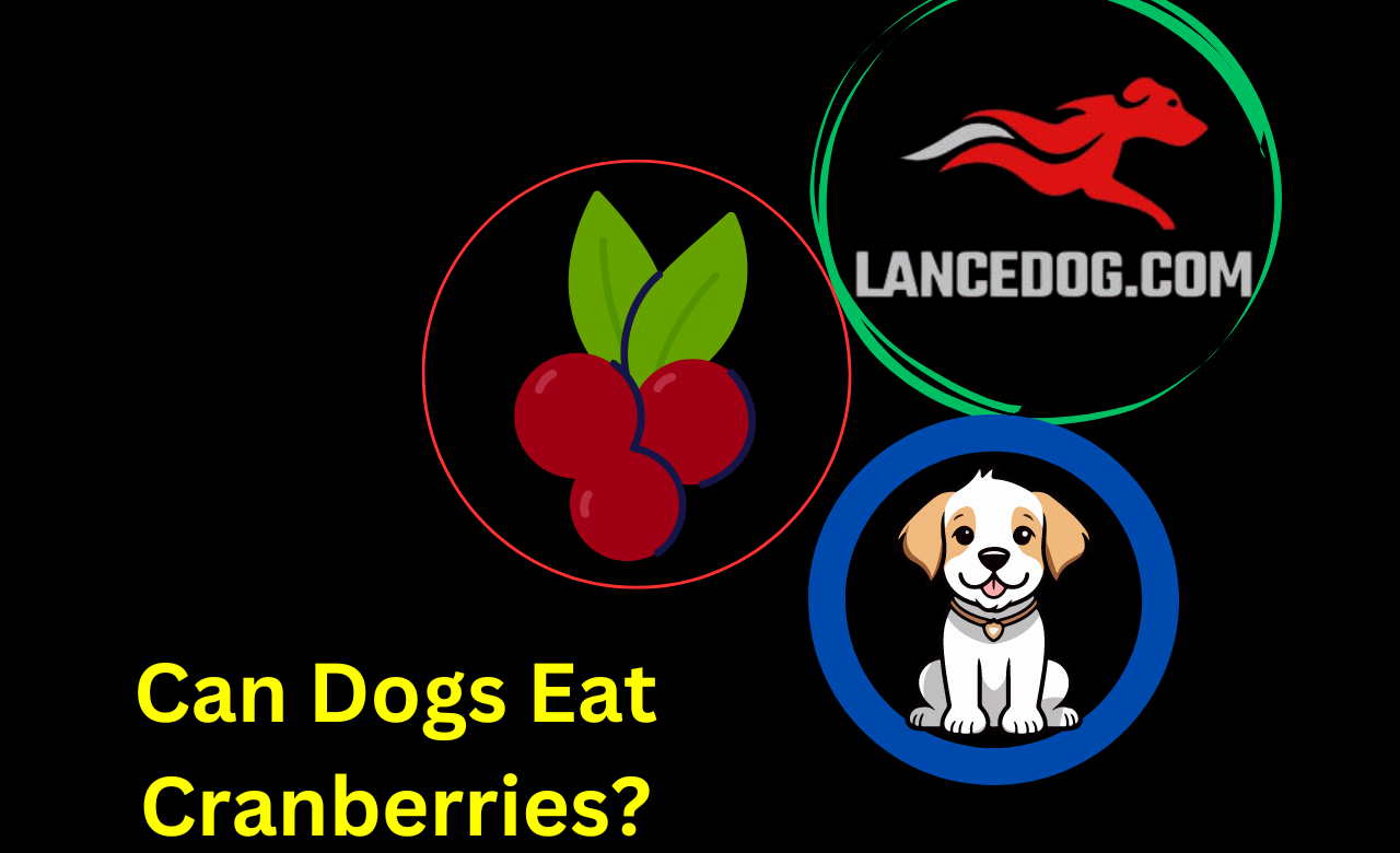 Can Dogs Eat Cranberries