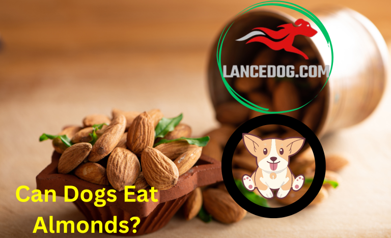 Can Dogs Eat Almonds?