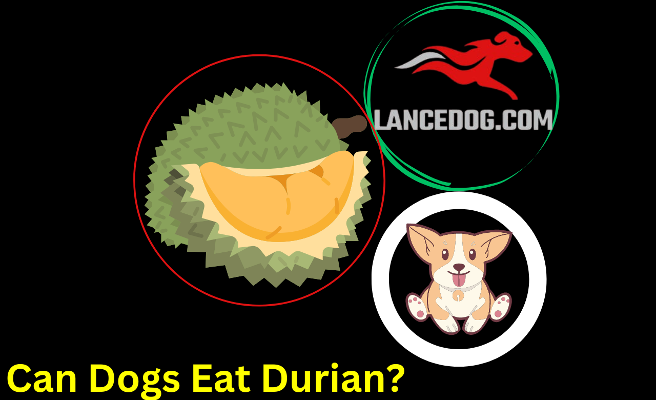 Can Dogs Eat Durian?