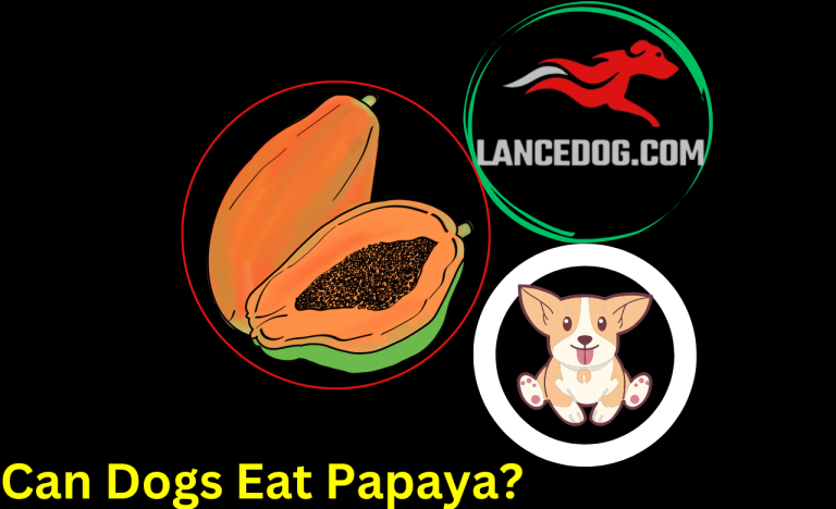 Can Dogs Eat Papaya?