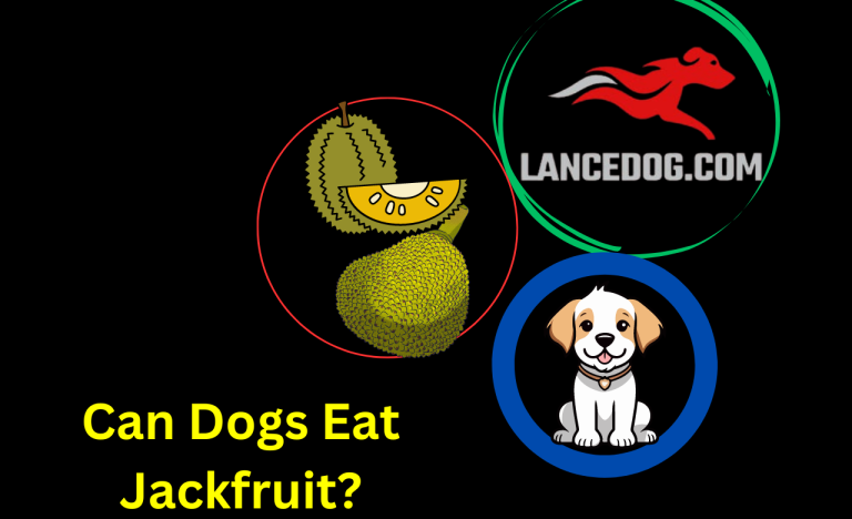 Can Dogs Eat Jackfruit?