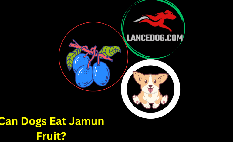 Can Dogs Eat Jamun Fruit?