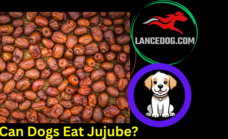 Can Dogs Eat Jujube