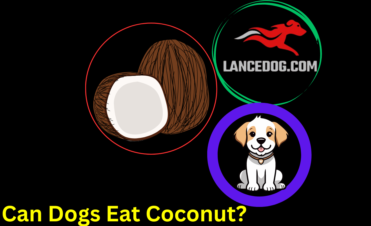 Can Dogs Eat Coconut?