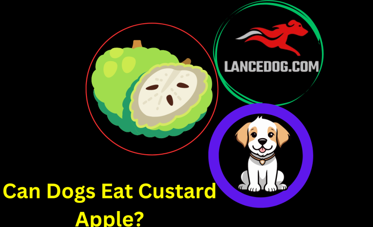 Can Dogs Eat Custard Apple?