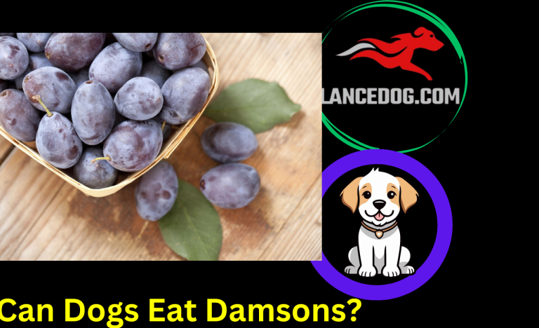 Can Dogs Eat Damsons?