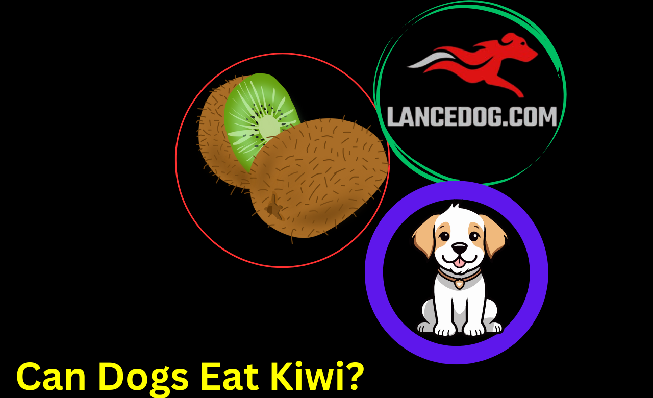 Can Dogs Eat Kiwi?