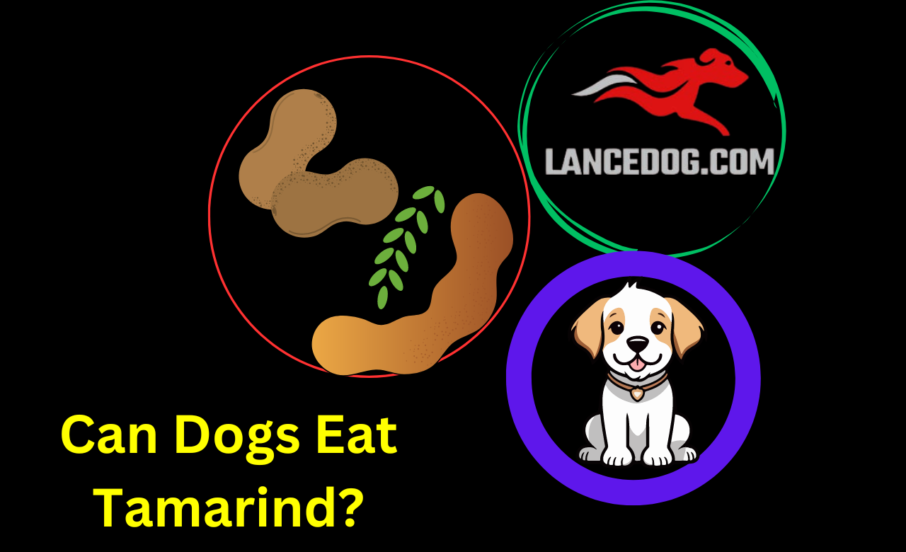 Can Dogs Eat Tamarind