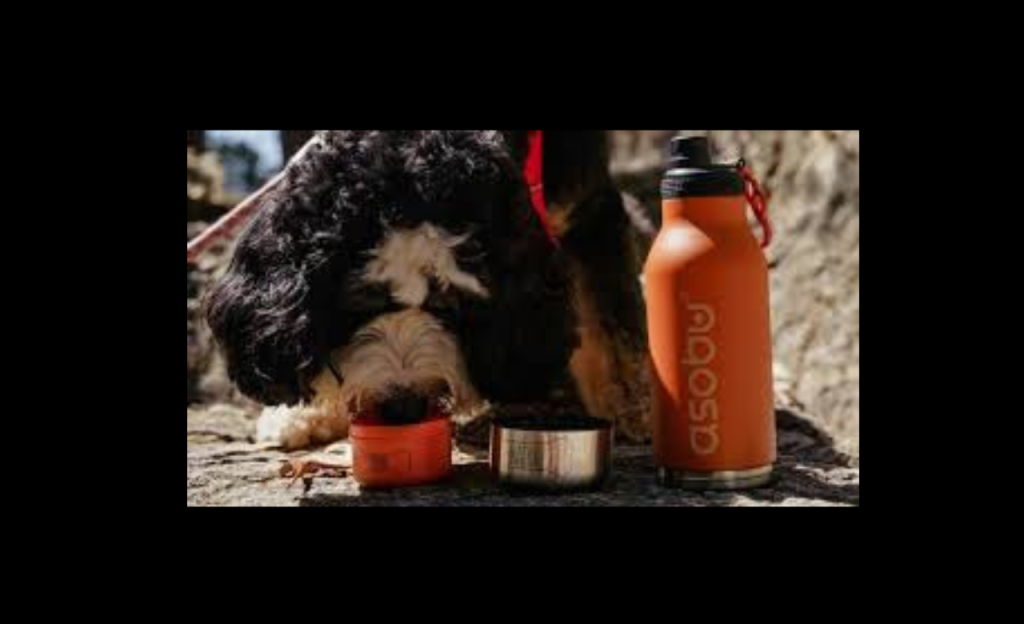 Gift For Dog Lovers Asobubottle