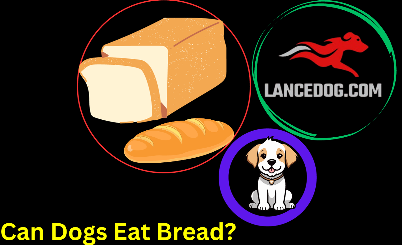 Can Dogs Eat Bread