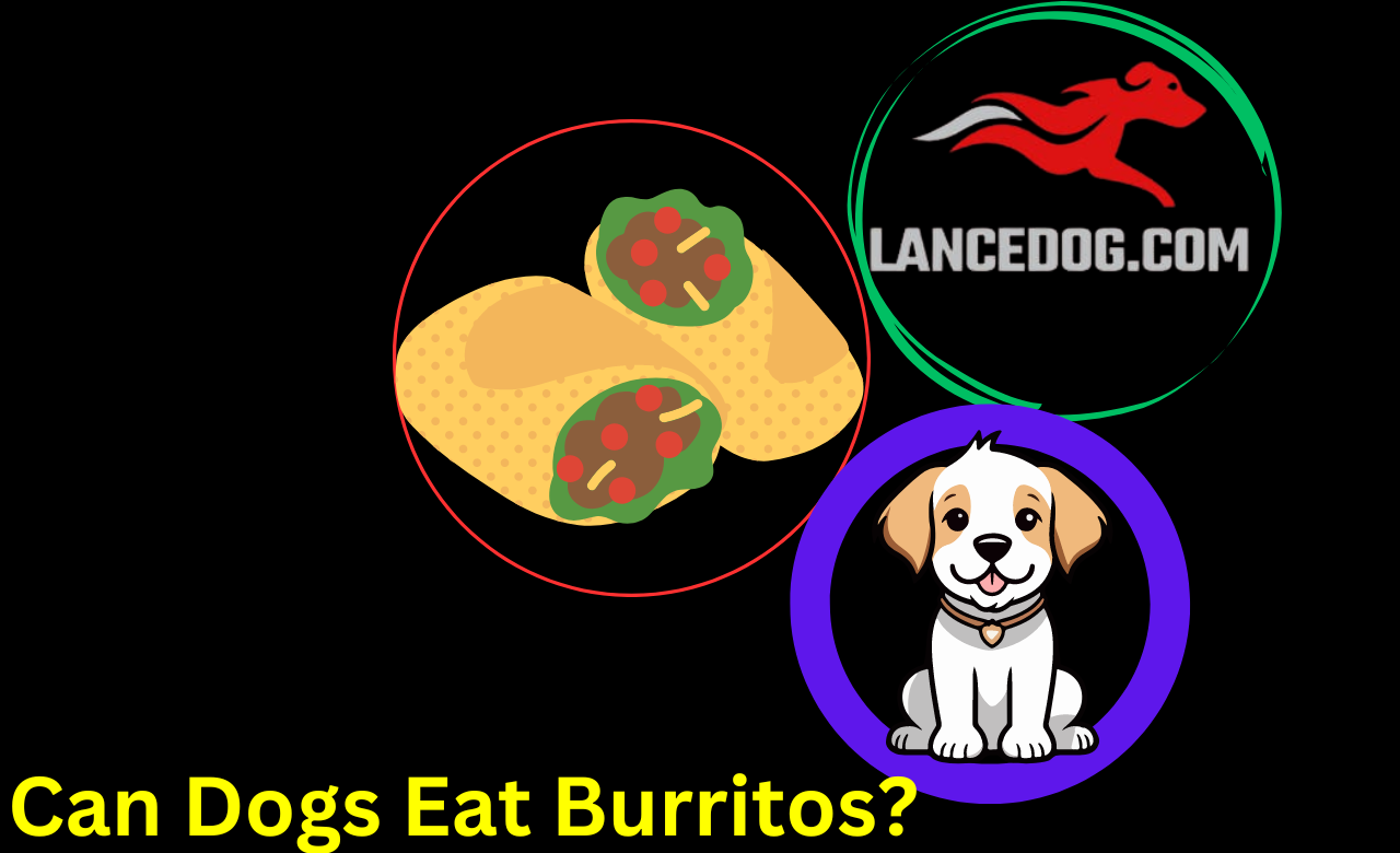 Can Dogs Eat Burritos