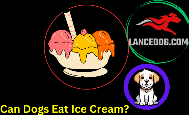 Can Dogs Eat Ice Cream