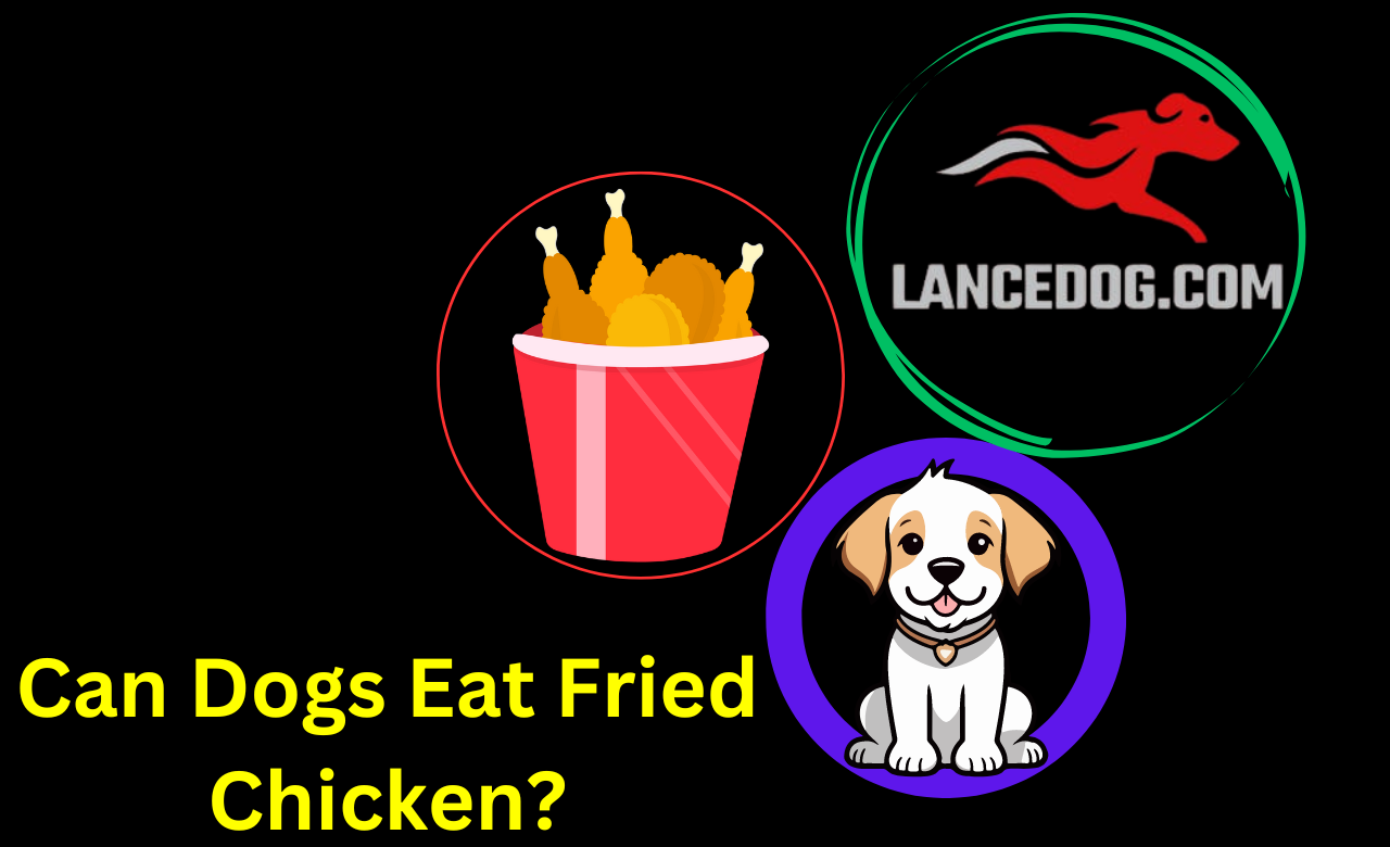 Can Dogs Eat Fried Chicken?