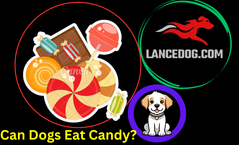 Can Dogs Eat Candy?